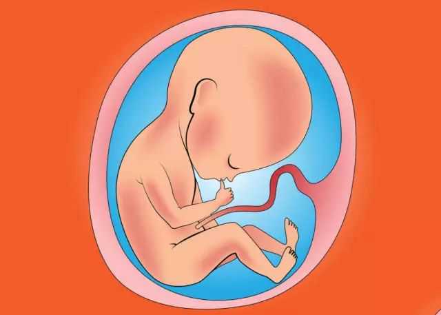 西安代怀孕专家，西安助孕-西安辅助生殖中心