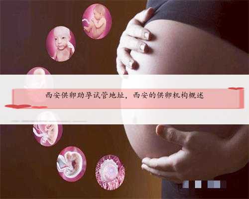 西安供卵助孕试管地址，西安的供卵机构概述