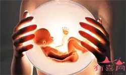 专业供卵试管，做爱后怎样容易怀孕