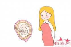 中国授权供卵机构，试管婴儿移植后，女性一定要注意这几个方面！