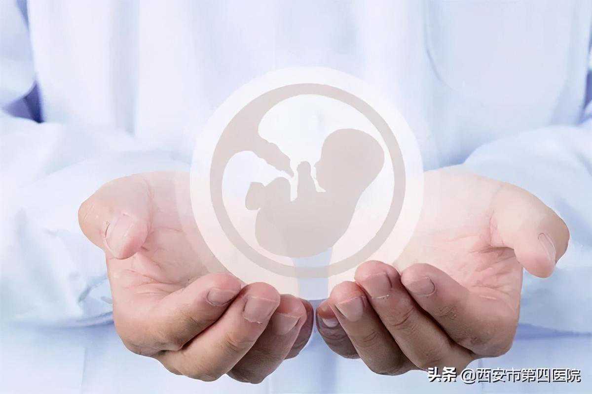 「生育揭秘」胚胎移植后，这7大误区千万不能犯！
